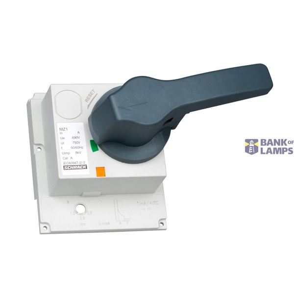Direct rotary handle (lockable) for MZ1 image 3