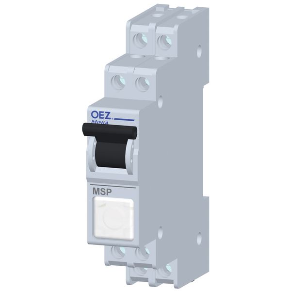 Tumbler switch MSP-20-SG-A230 image 1
