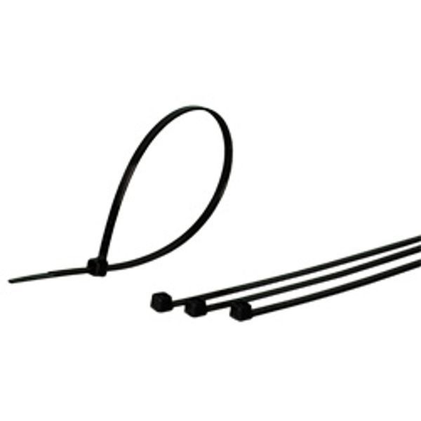 Fichero: bridasNegras.jpg image 1