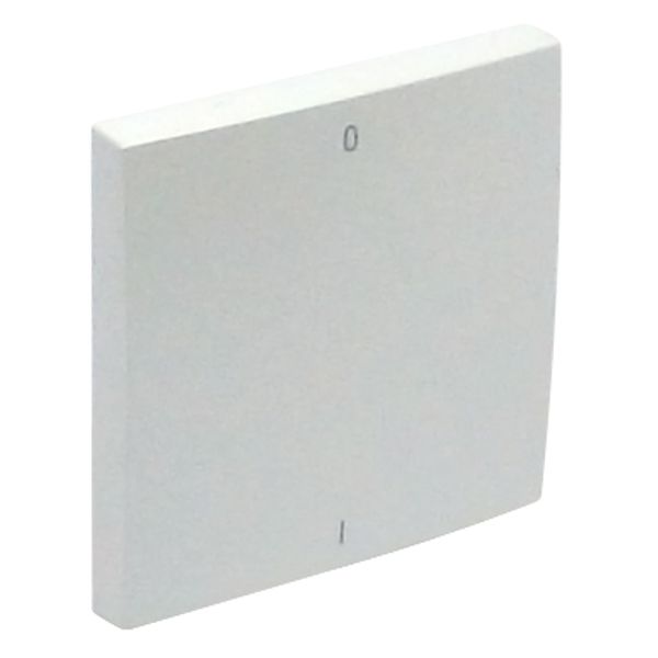 ROCKER F/TWO-POLE SWITCH ICE image 1