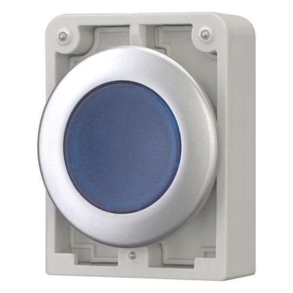 M30C-FDRL-B Illuminated pushbutton actuator, RMQ-Titan, Flat, maintained, Blue, Blank, Metal bezel image 2