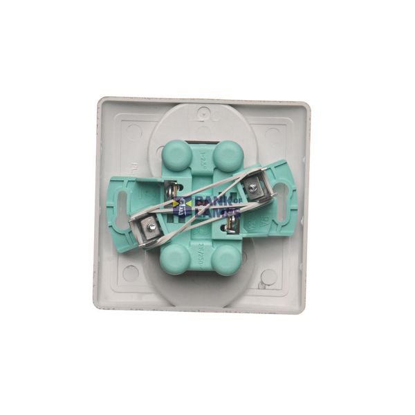 Triple switch, (module), 10AX, quick connection, Silver matt, metalic image 1