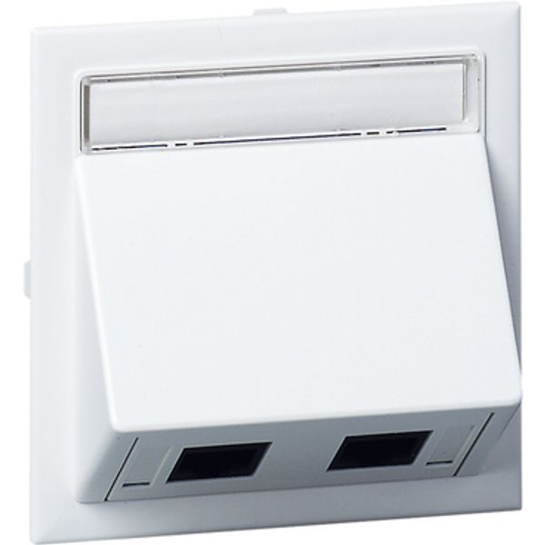 CYB-DP  Angled cover, 2 x  Actassi 500 Cat 6A  STP, mounting plate  and RJ connectors image 1