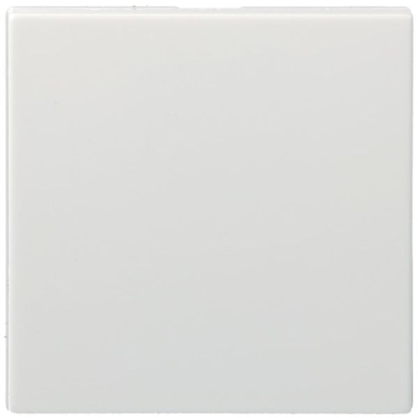 Simple switch 10A, 230V, white, 2M QC image 1