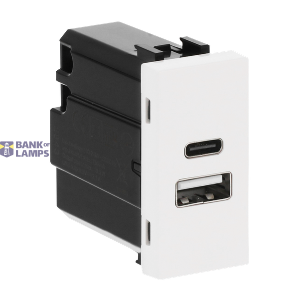 N2185.3 BL USB CHARGER A+C 10.5W -1M image 2
