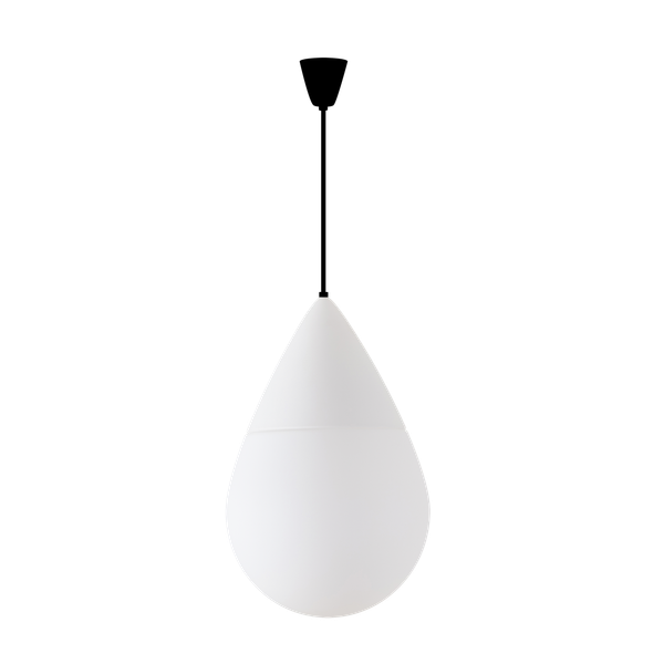 LED5L06E4501L12E500ZS11/452/L100 2/1 C3K image 1