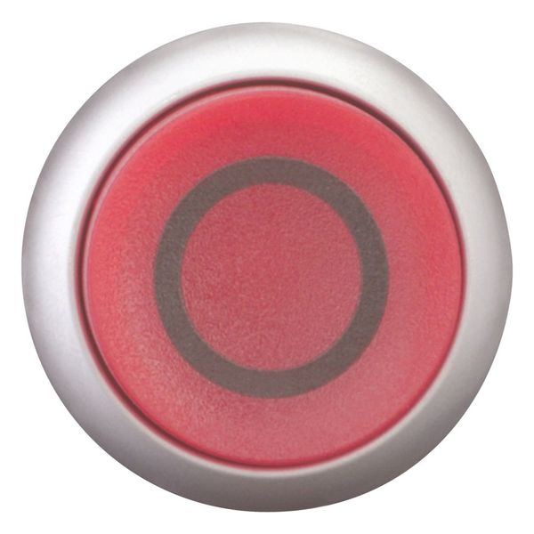 M22-DLH-R-X0 Illuminated pushbutton actuator, RMQ-Titan, Extended, momentary, red, inscribed, Bezel: titanium image 4