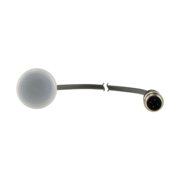 C22-L-W-24-P1 Indicator light, Flat, Cable (black) with M12A plug, 4 pole, 0.2 m, Lens white, LED white, 24 V AC/DC image 8