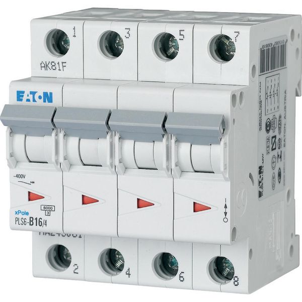 Miniature circuit breaker (MCB), 16 A, 4p, characteristic: C image 5
