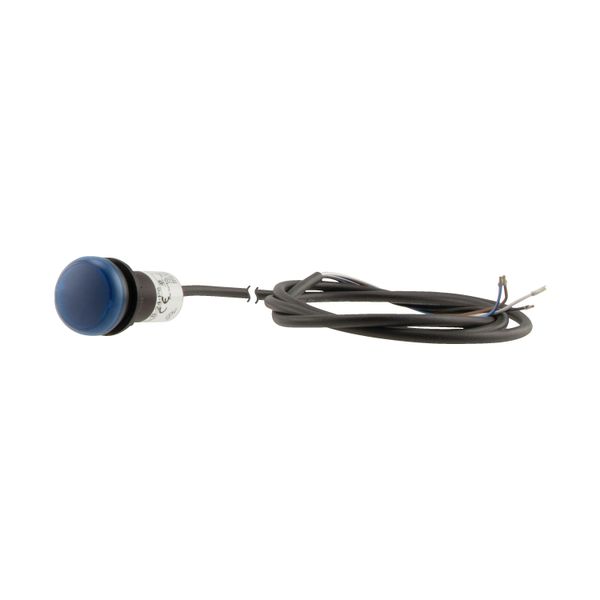 C22-L-B-24-P65 Indicator light, Flat, Cable (black) with non-terminated end, 4 pole, 3.5 m, Lens Blue, LED Blue, 24 V AC/DC image 6