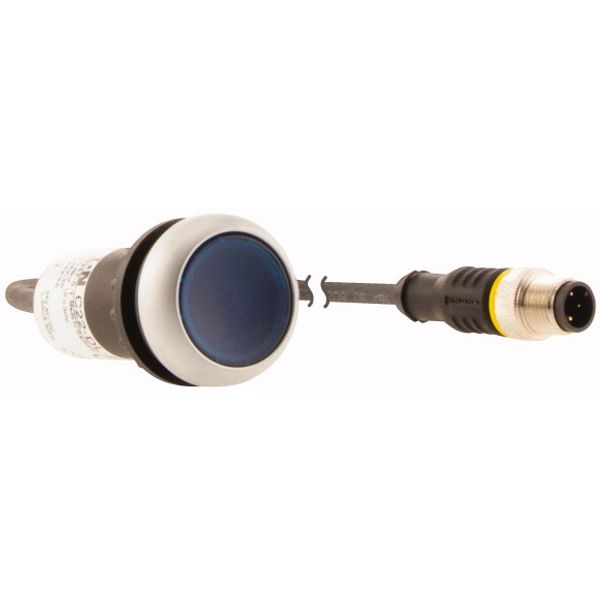 C22-DRL-B-K10-24-P3 Illuminated pushbutton actuators, maintained, blue, 24v, 1 N/O, with cable 0.5m and M12A plug image 4