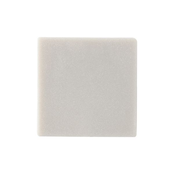 End cap for AU without hole, silver color, 1pc image 1