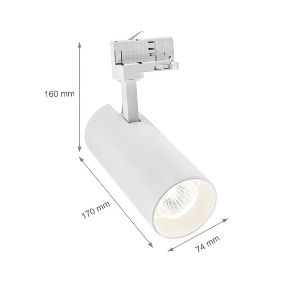 ANDROMEDA COB LED 25W NW 3F white (3 phases) 36deg 60deg image 1