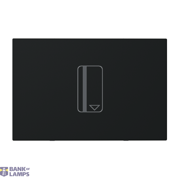 N2214.5 NT - Interrut. Badge temporizzato image 1