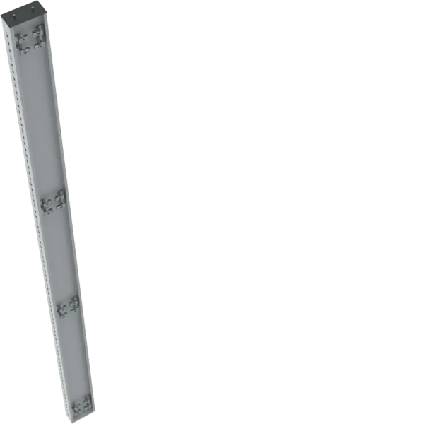 Vertical dividing post a.1900 image 1