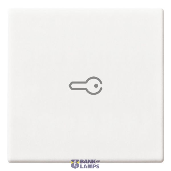 Axial button 2M key symbol white image 1