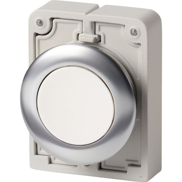 M30I-FDR-W Pushbutton, RMQ-Titan, flat, maintained, White, blank, Front ring stainless steel image 3