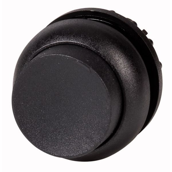 M22S-DH-S Pushbutton, RMQ-Titan, Extended, momentary, black, Blank, Bezel: black image 1
