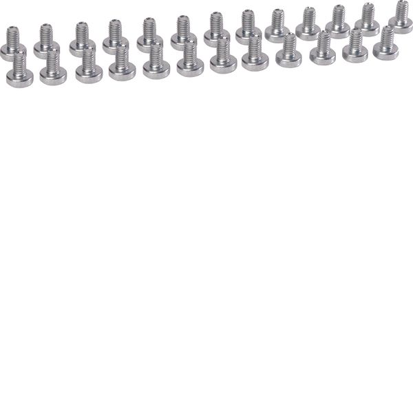 Screws self-thread quadro.sy. M6x10 mm image 1