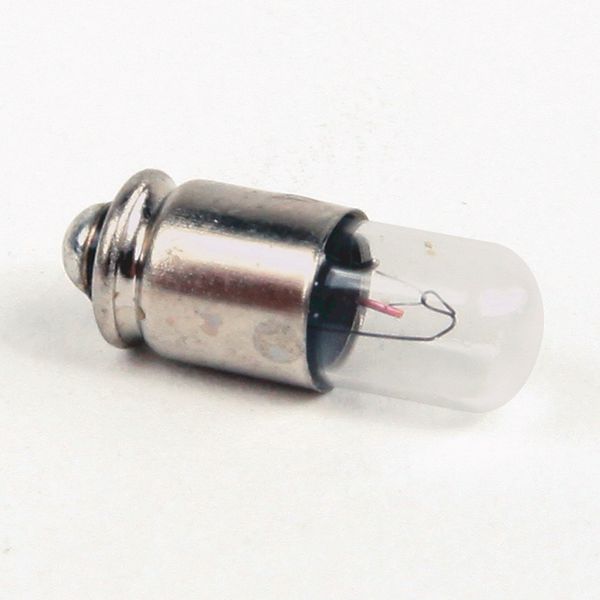 800B 16 mm Push-Button Incandescent Bulb image 1