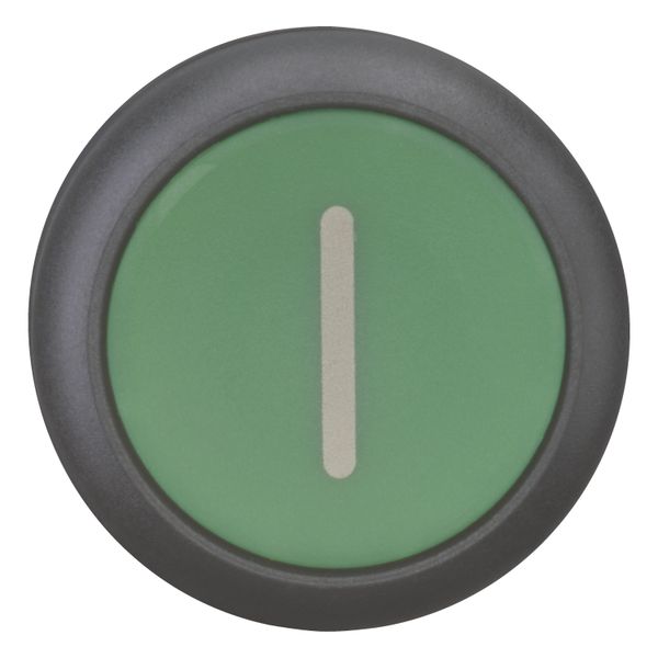 M22S-DR-G-X1 Pushbutton, RMQ-Titan, Flat, maintained, green, inscribed, Bezel: black image 11