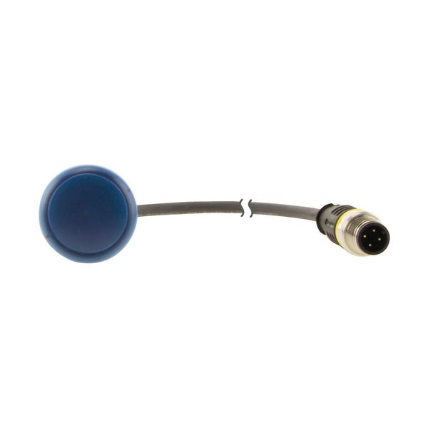 C22-L-B-24-P5 Indicator light, Flat, Cable (black) with M12A plug, 4 pole, 1 m, Lens Blue, LED Blue, 24 V AC/DC image 12