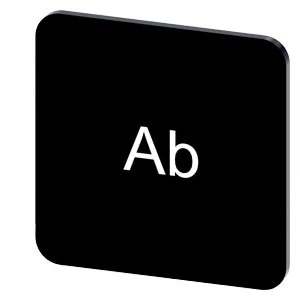 Labeling plate 22 x 22 mm, label black, labeling: Ab image 1