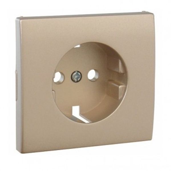 C.PLAT F/EARTH SOCKET (SKO TYPE) PLATINUM image 1