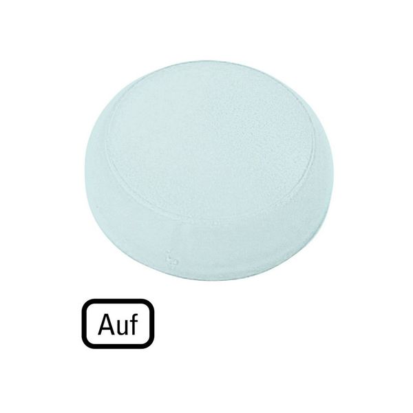 M22-XL-W-D3 Lens, indicator light white, flush, UP image 4