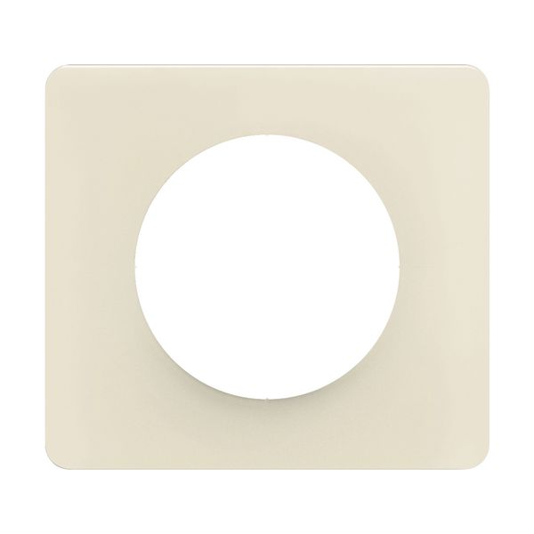 PLATE 1 GANG ALMOND WHITE image 6