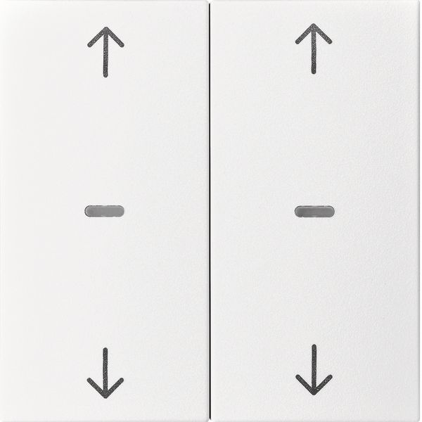Cover arrow f. 2gang f. push-b. m, clearlenses, S.1/B.3/B.7, p.white m image 1