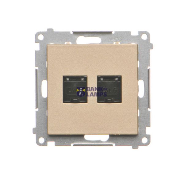 Double computer socket RJ45 cat. 6 with anti-dust cover, champagne matt image 1