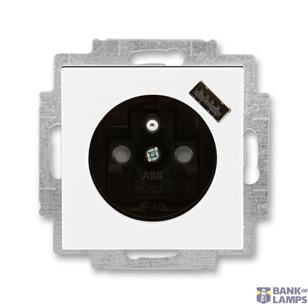 5569H-A02357 62 Socket outlet with earthing pin, shuttered, with USB charging image 1