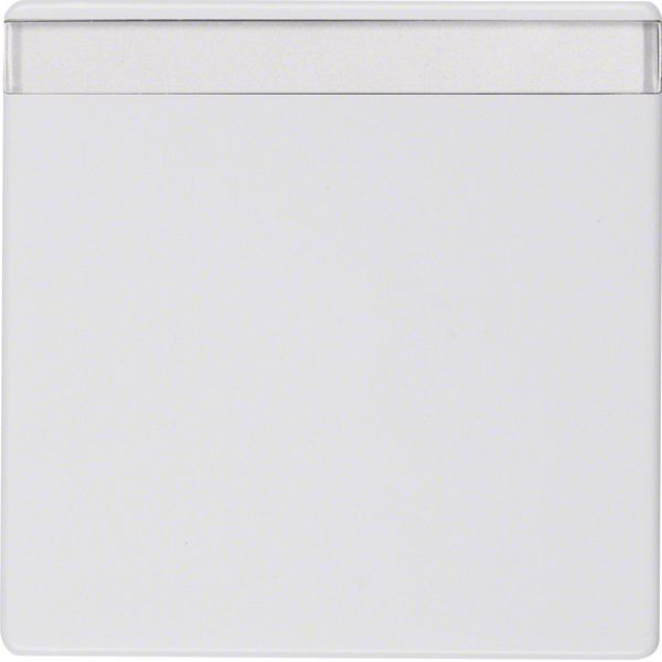 Rocker, lab. field, Q.1/Q.3, p. white velvety image 3