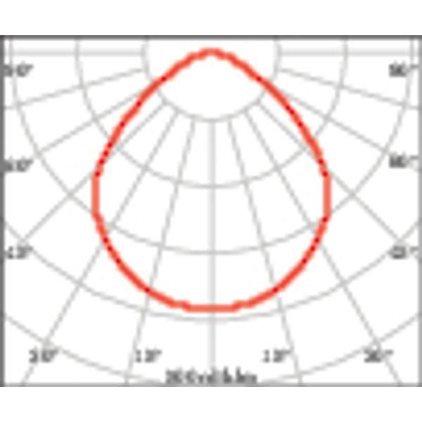 MANGO+MIDI 10/13 C/EW 840 WIT+WIELAND image 6