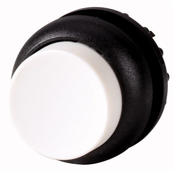 M22S-DH-W Pushbutton, RMQ-Titan, Extended, momentary, White, Blank, Bezel: black image 1