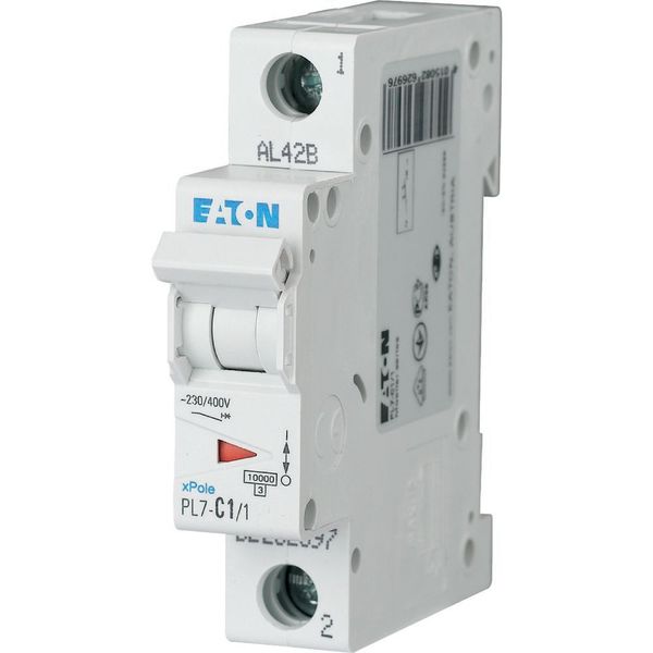 PL7-D1/1 Miniature circuit breaker (MCB), 1 A, 1p, characteristic: D image 1