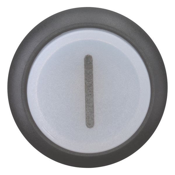 M22S-DRLH-W-X1 Illuminated pushbutton actuator, RMQ-Titan, Extended, maintained, White, inscribed 1, Bezel: black image 4