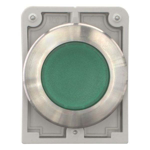 M30I-FDL-G Illuminated pushbutton actuator, RMQ-Titan, flat, momentary, green, blank, Front ring stainless steel image 4