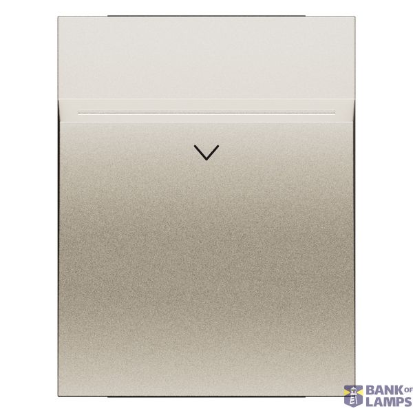 L.NOW - BADGE-HOLDER COVER 2M CHAMPAGNE image 1