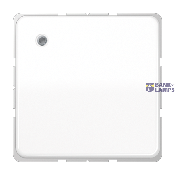 SCHUKO socket, 16 A 250 V ~, with function indicator, integrated increased contact protection, SAFETY+, hinged cover, thermoplastic, CD series, alpine white image 1