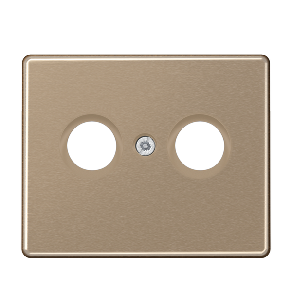 Afdekking SL500 goud brons voor CAI image 1
