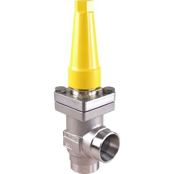 REG-SA SS 15 A40 ANG Valve Cap PS52 image 1