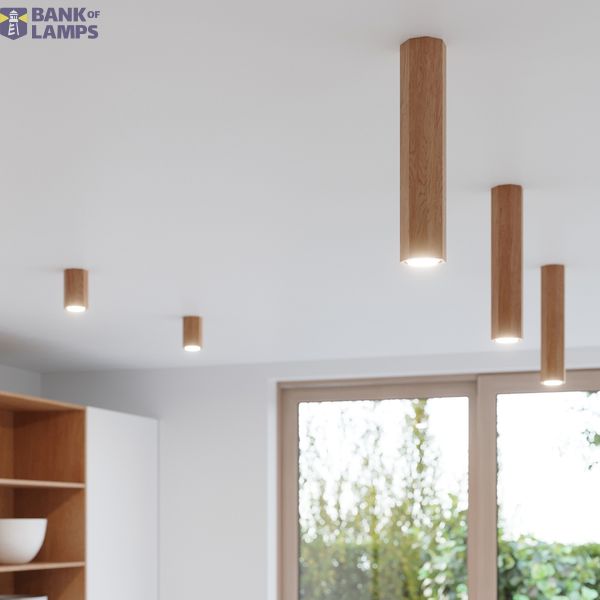 SPOT ZEKE 10 OAK GU10 1X40W IP20 image 3