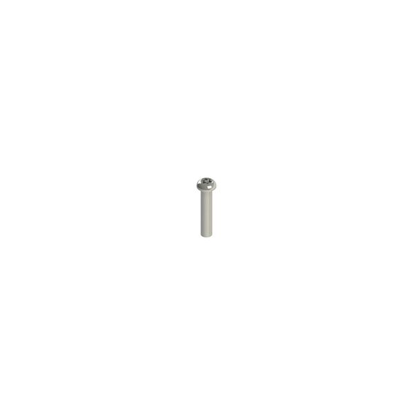 Stainless steel security screws image 1