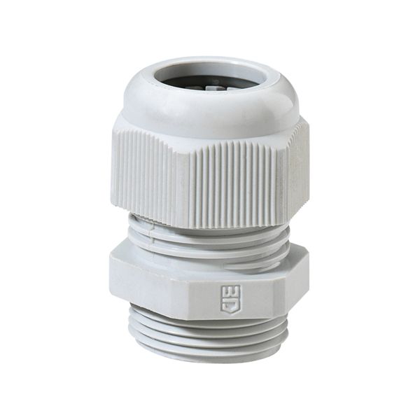 Cable gland, for surface-mounted housing ApG-I g image 1