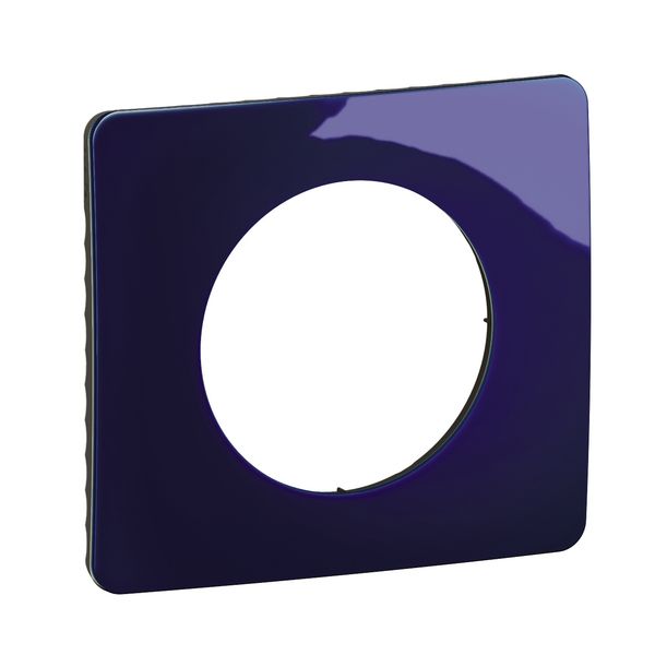 PLATE 1 GANG BLEU DE FOUR image 1