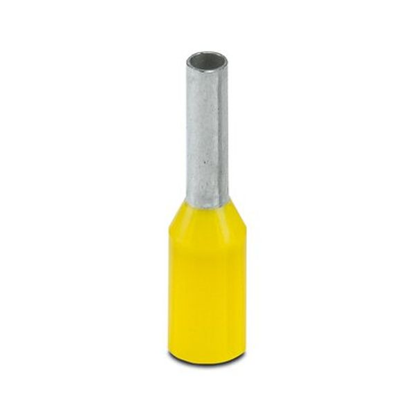 AI  1   - 6 YE - Ferrule image 3