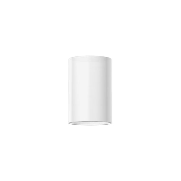 Shade D 200 H 300, Fabric Chintz colour: white image 2