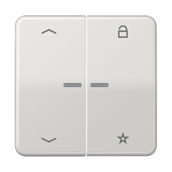 ENet push-button universal 1-gang FMCD1701PLG image 1